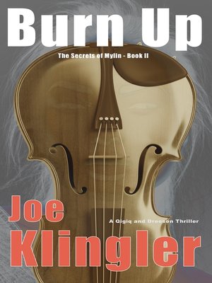 cover image of Burn Up